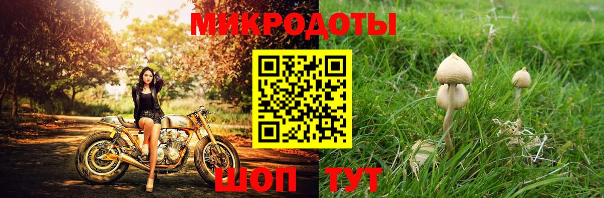 Галлюциногенные грибы GOLDEN TEACHER  Вход с VPN  Новороссийск 